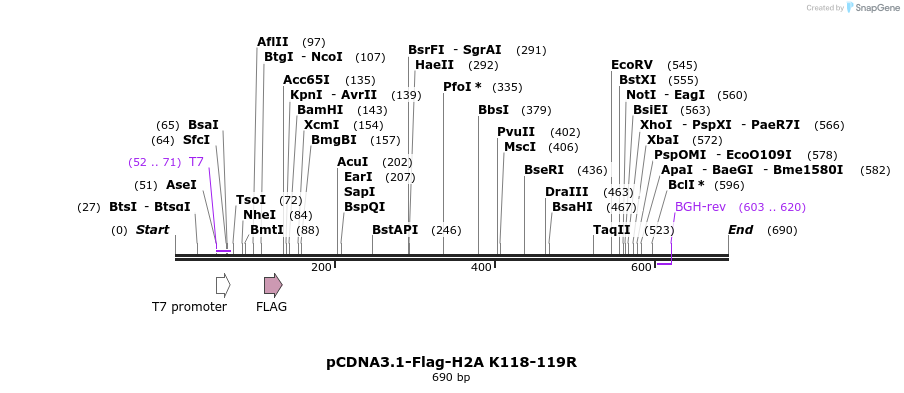 107075_map