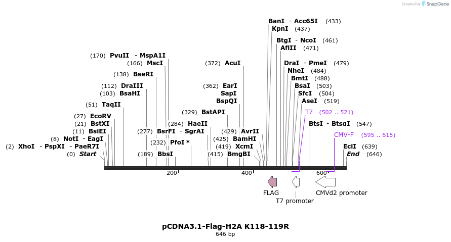 107076_map