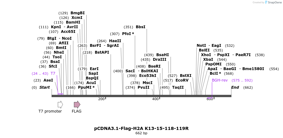 107077_map