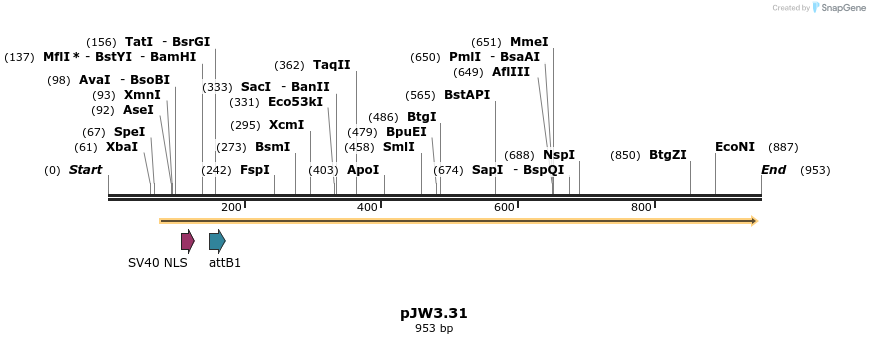 107079_map