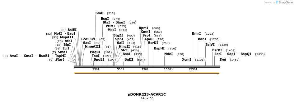 10708_map