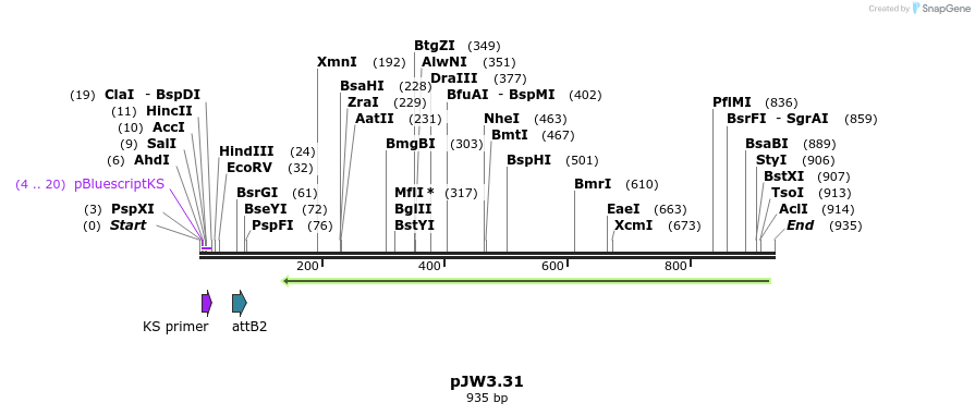 107081_map