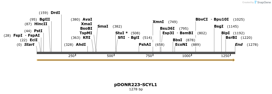 10709_map