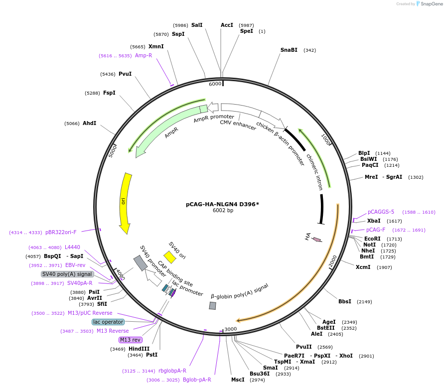 107090_map