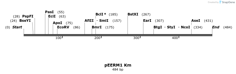 107097_map