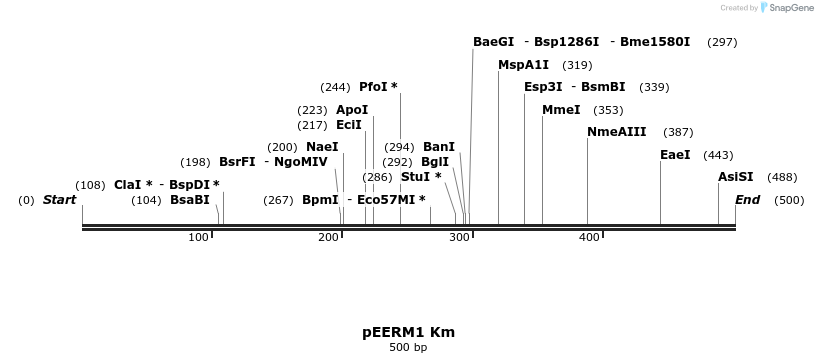 107099_map