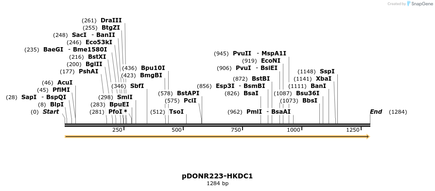 10710_map