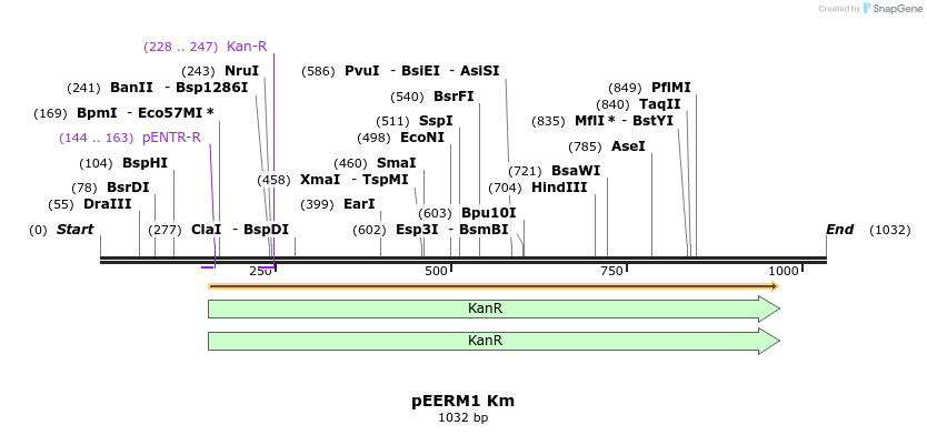 107100_map