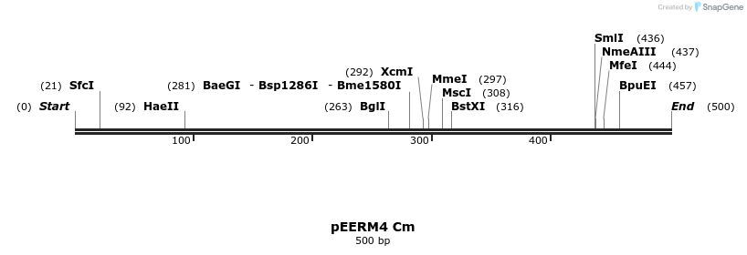 107102_map