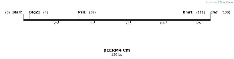 107103_map