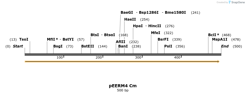 107105_map