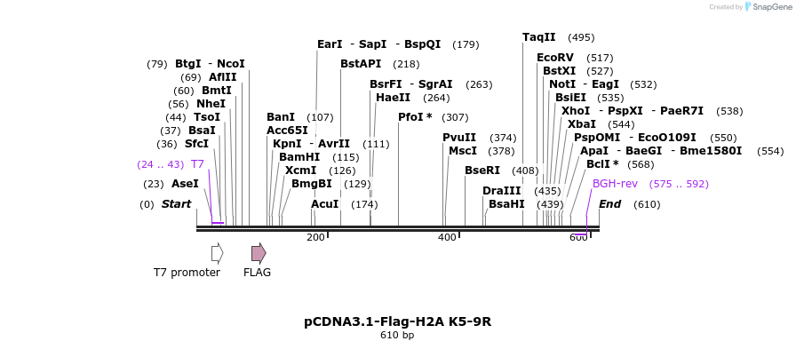 107108_map