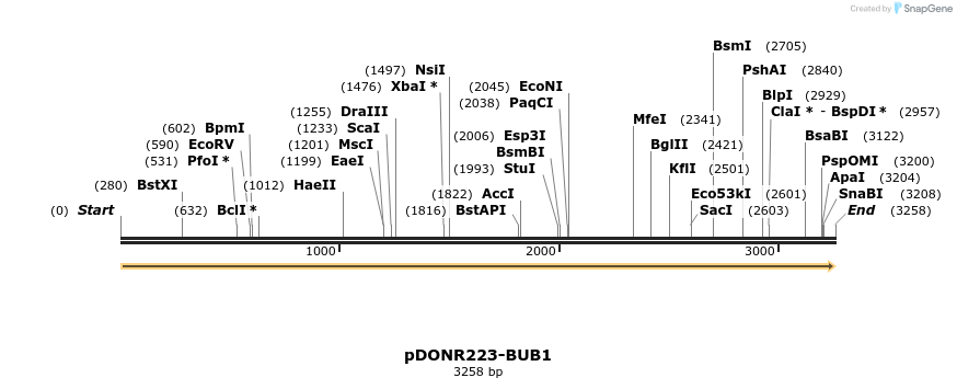 10711_map