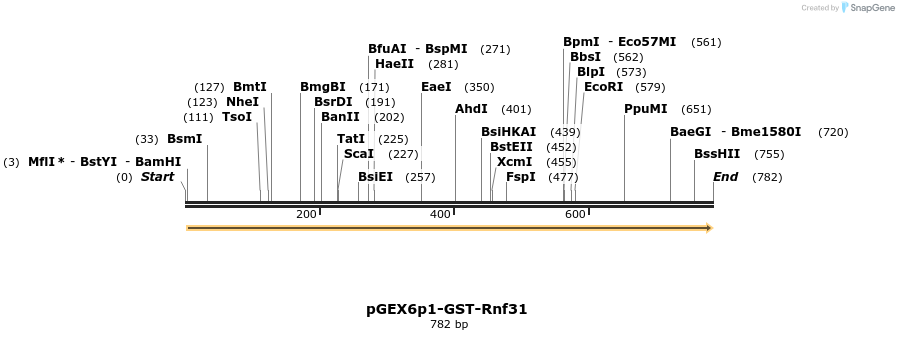 107110_map