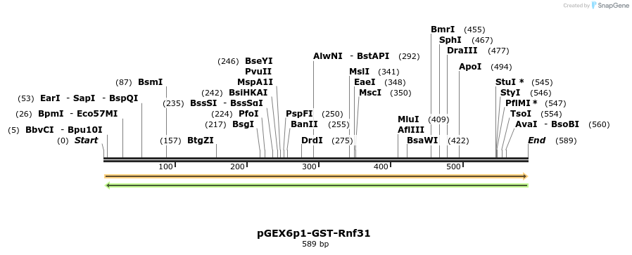 107111_map