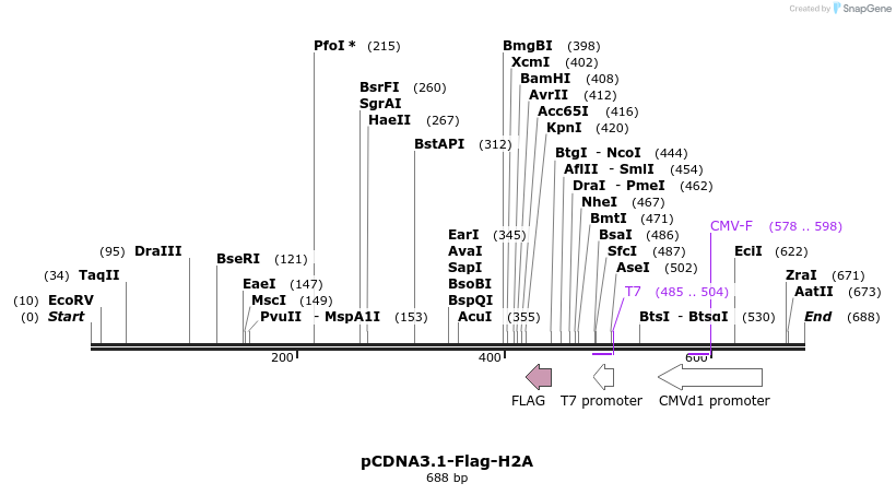 107116_map