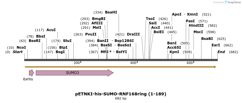107125_map