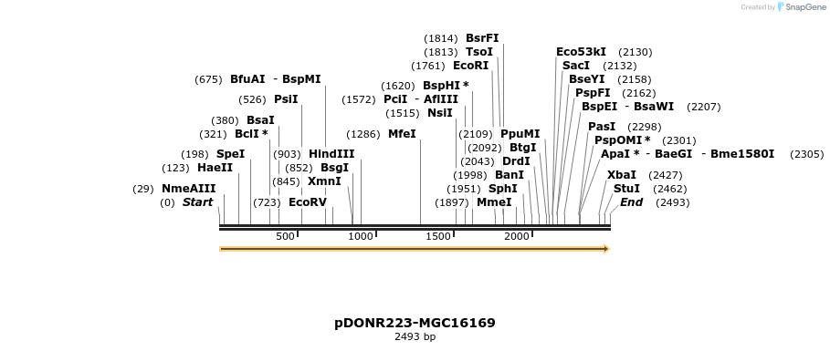 10713_map