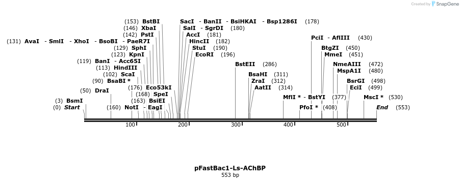 107130_map