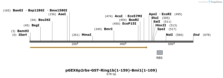 107131_map