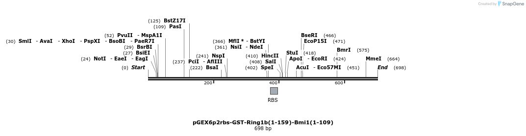 107132_map