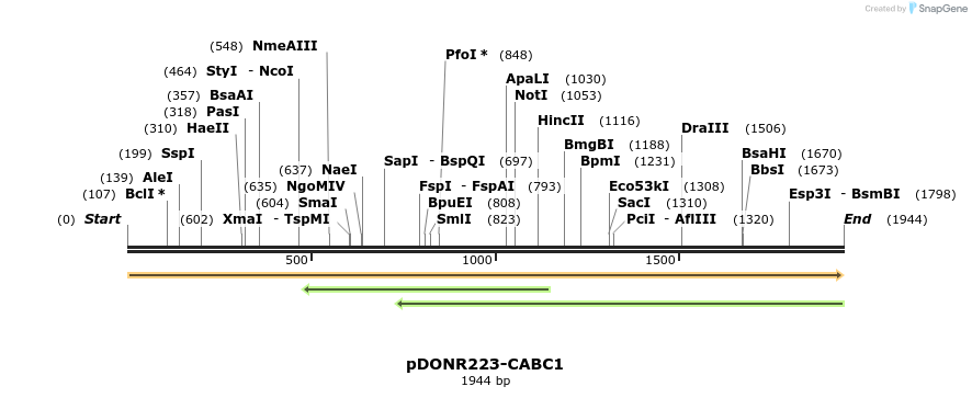 10714_map