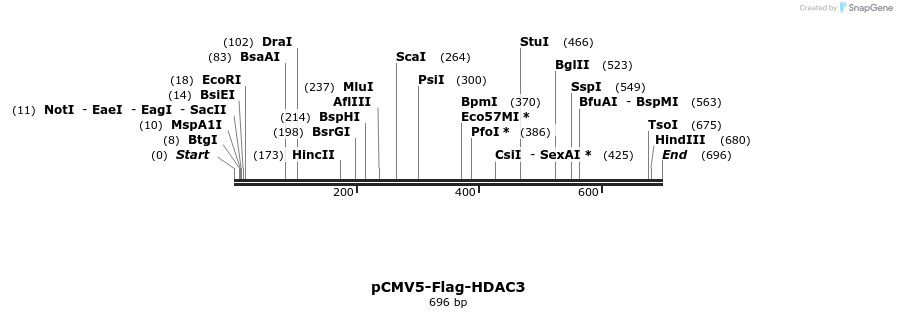107141_map