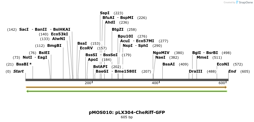 107143_map