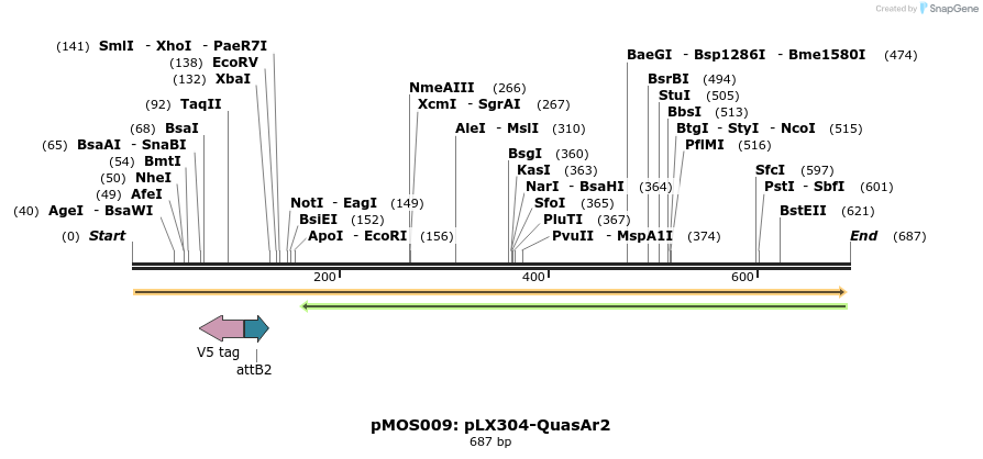107144_map