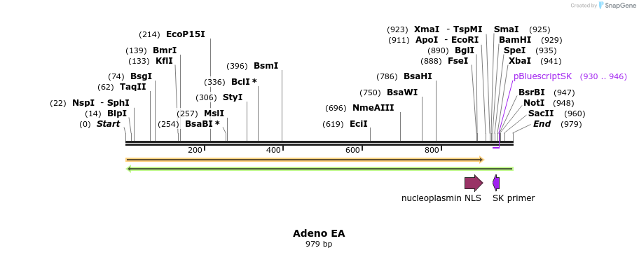 107146_map