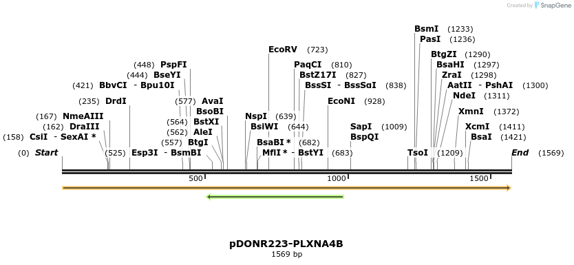 10715_map