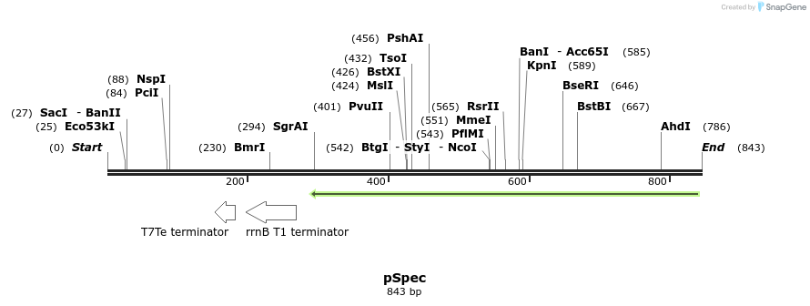 107153_map