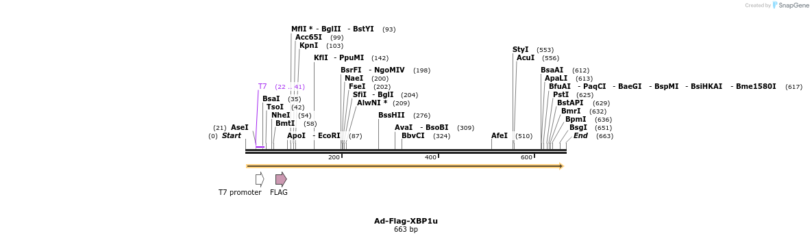 107157_map