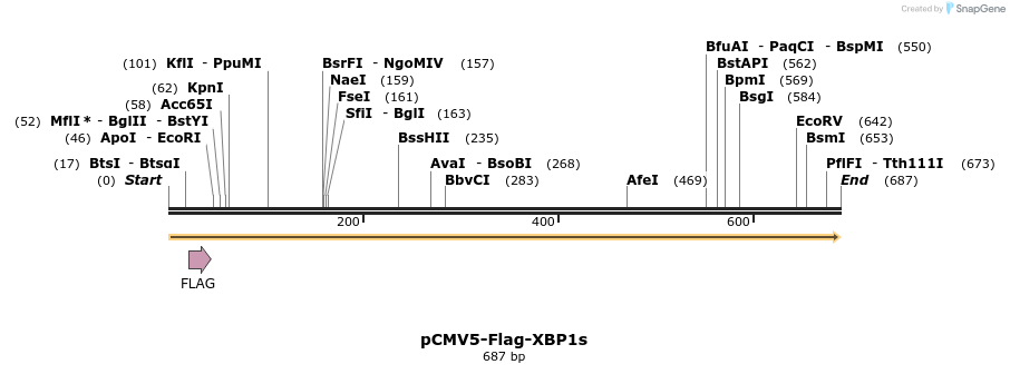 107160_map