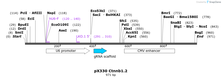 107161_map