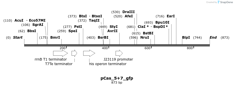 107169_map