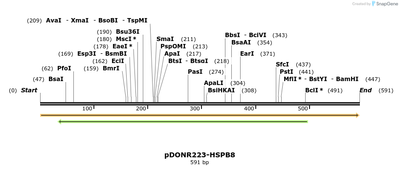 10717_map