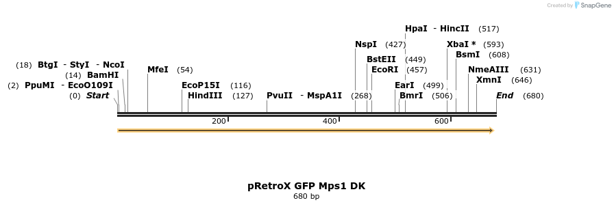 107177_map
