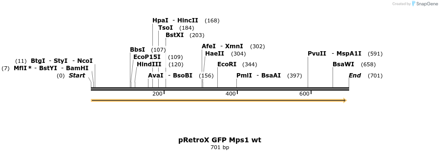 107179_map