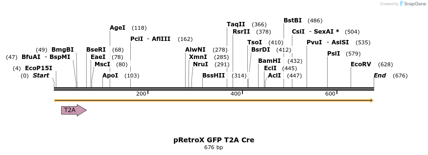 107181_map
