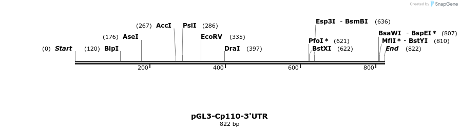 107185_map