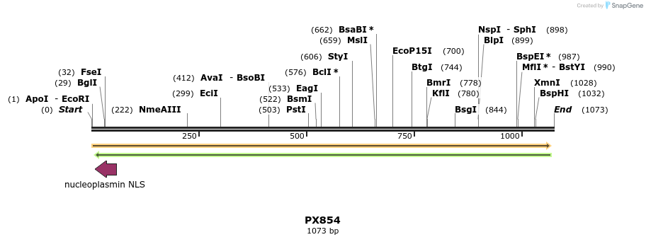 107186_map