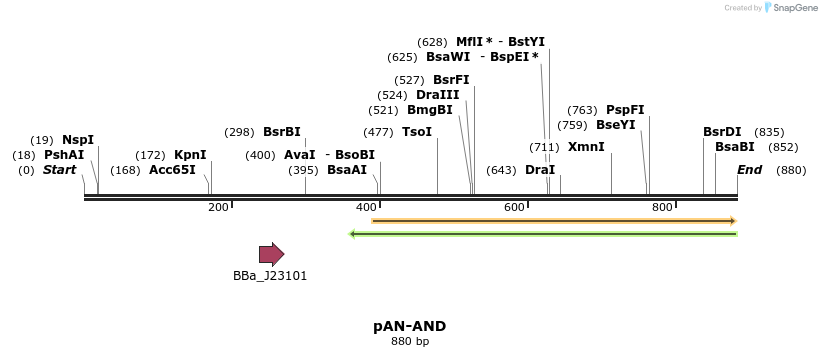 107193_map