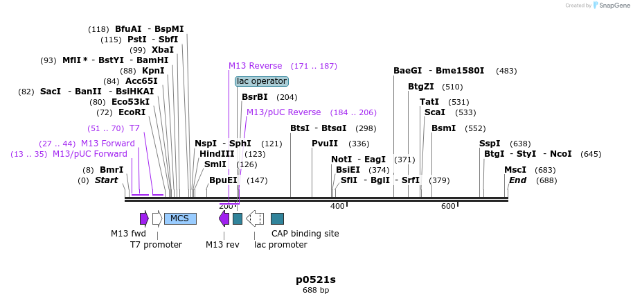 107196_map