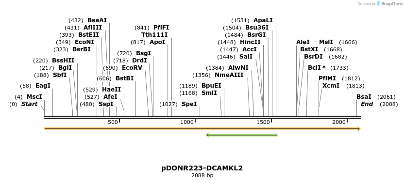 10720_map