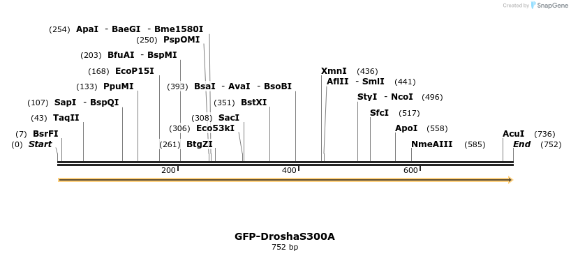107201_map