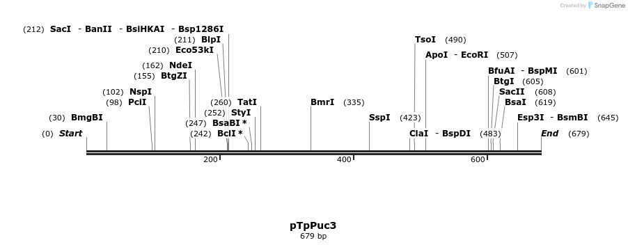107202_map