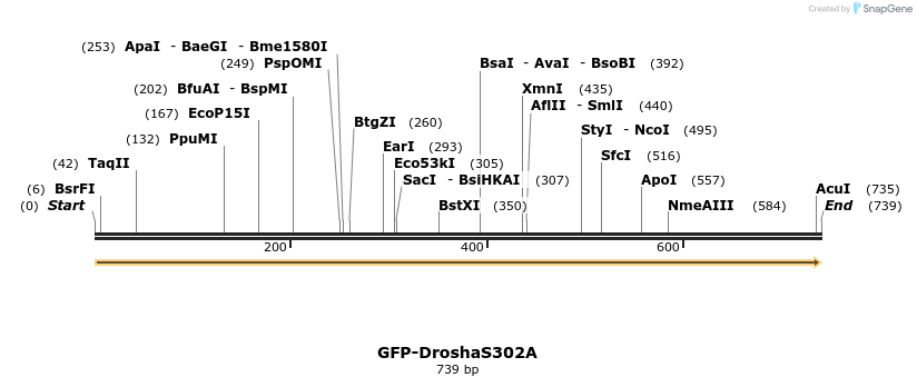 107204_map