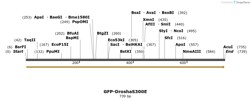 107205_map