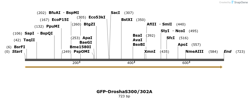 107206_map